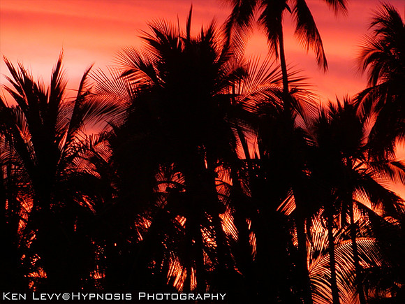 Ixtapa Mexico at Sunset