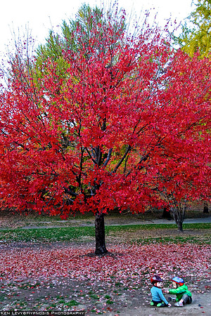 Prospect Park Brooklyn