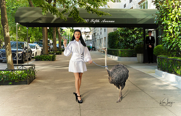 Fifth Avenue