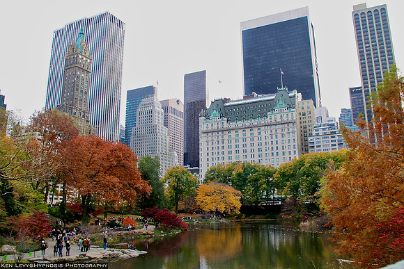 a view from Central Park