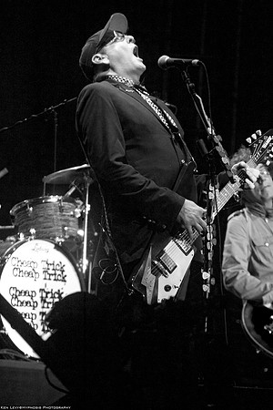 Rick Nielsen / Cheap Trick