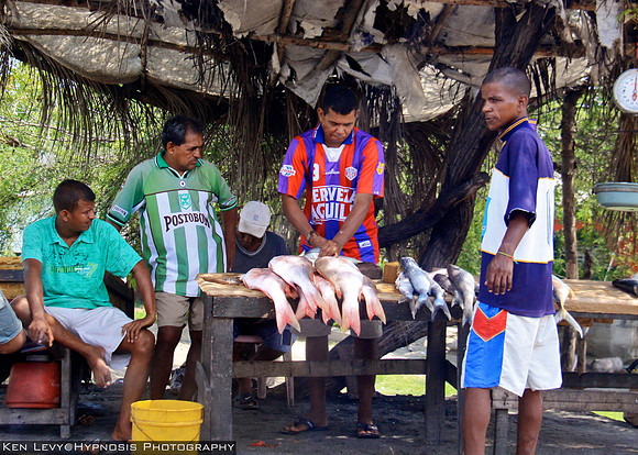 selling fish