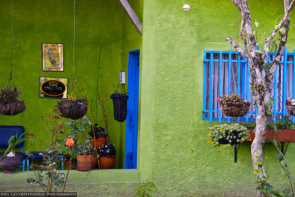 green house in Santa Elena